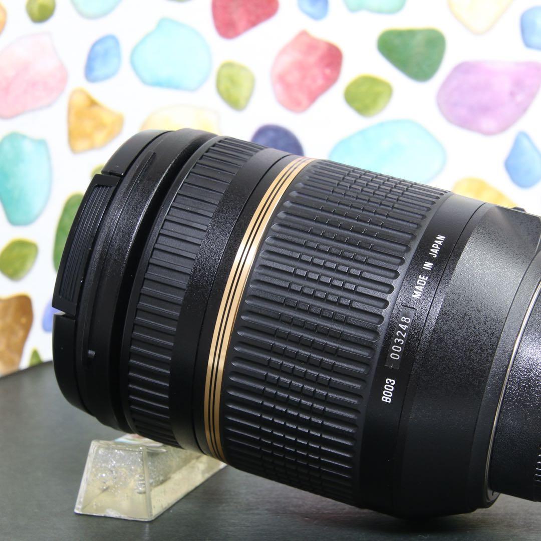 ♥︎◇このレンズだけでOK♪ ◇TAMRON 18-270mm VC Nikon