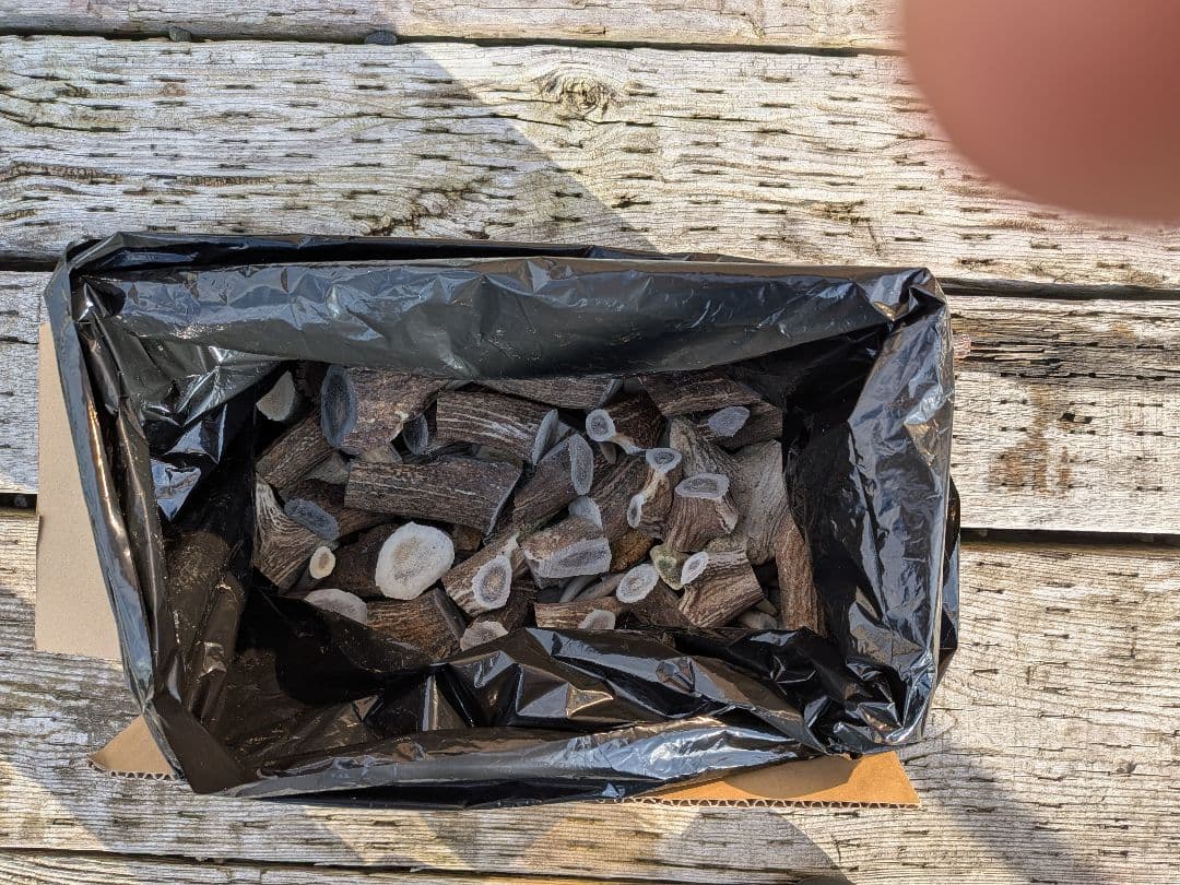 Ｓusi【箱びっしり端材詰め合わせ】北海道エゾシカ　鹿の角