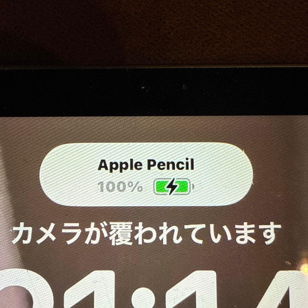 Apple Pencil（第2世代） 純正 正常動作確認済