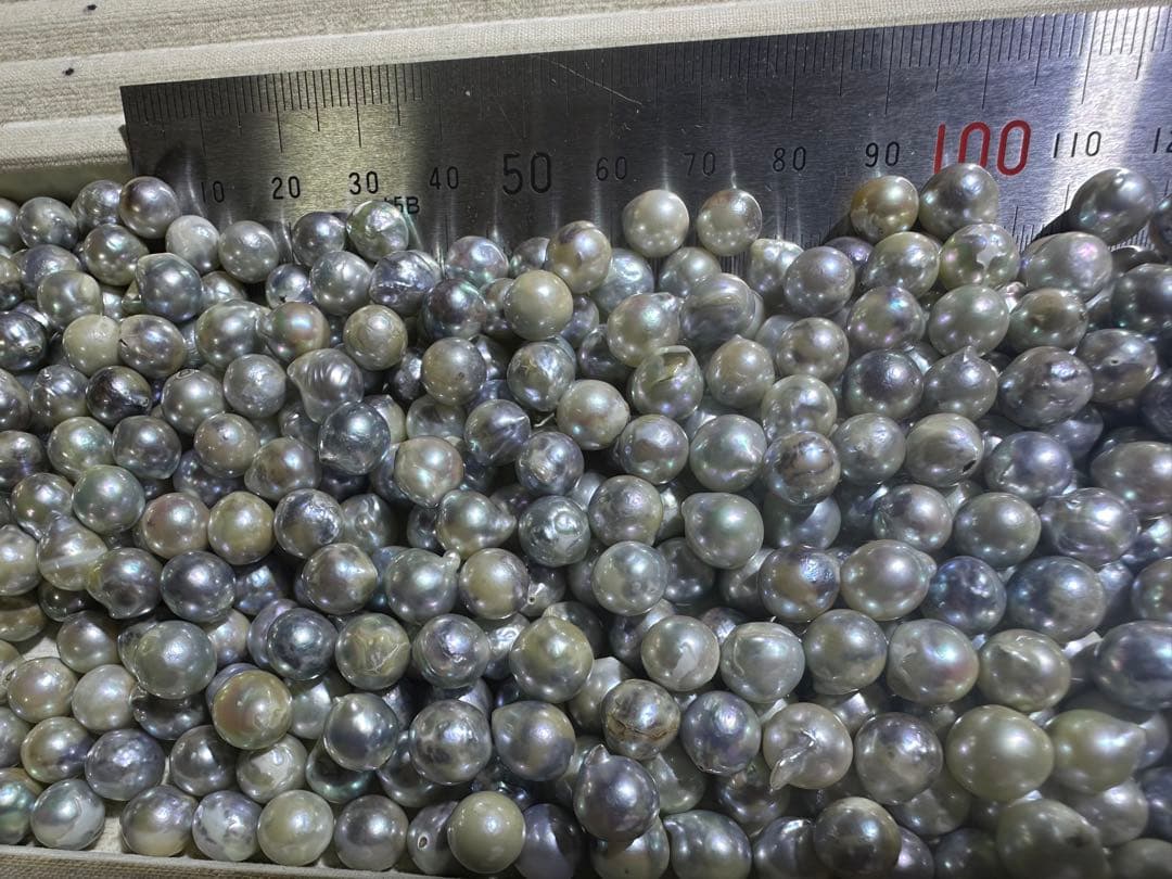 あこや真珠　パール　1630g