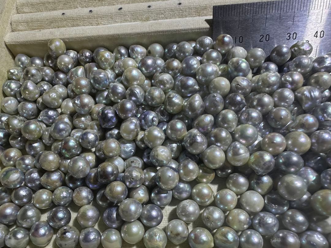 あこや真珠　パール　1630g