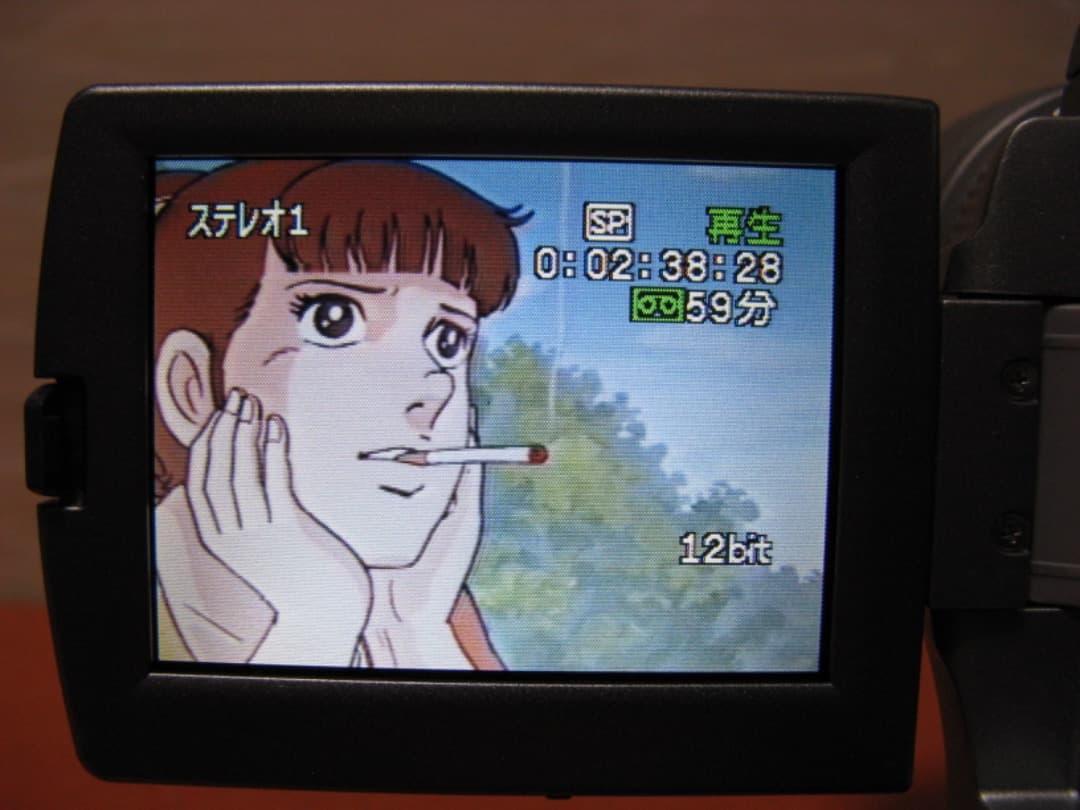 動作OK❗️☆CanonのMiniDV/デジタルビデオカメラ・IXY DV M