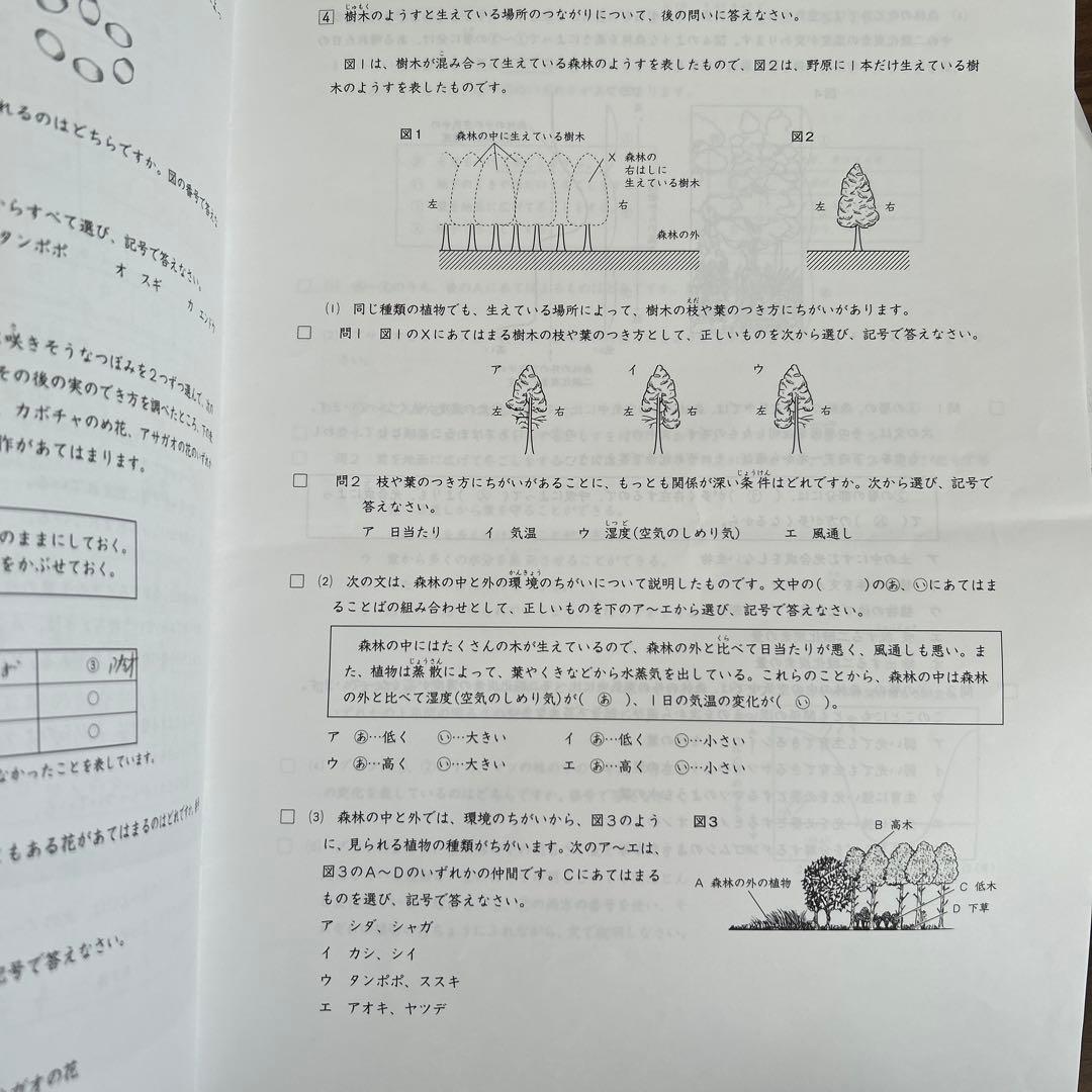 日能研　新6年　学習力育成テスト18回分