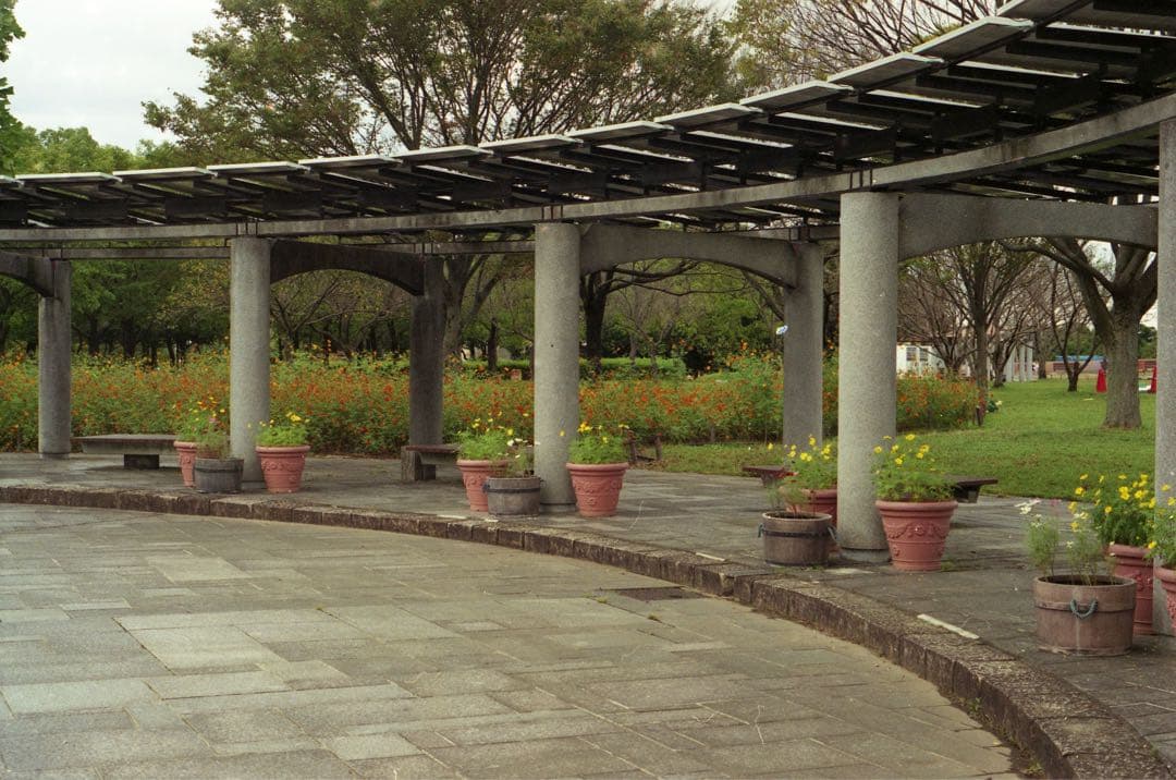 ミノルタ minolta xg-s №8021232.№5318174