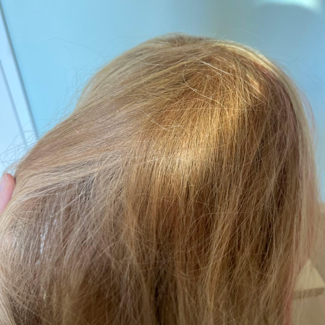 NBAA アップ　ウィッグ　セット用