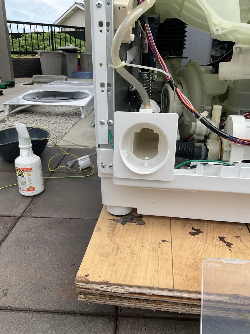 【分解洗浄済み】シャープドラム式洗濯乾燥機　ES -W113SL 2022年購入