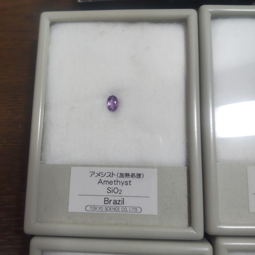 化石・鉱石セット