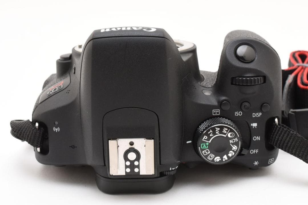 超美品　2617カウント Canon X9i ダブルズーム　 300mm望遠