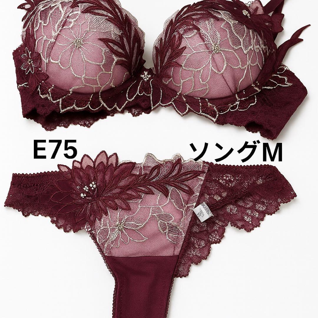 ワコール／サルート 52グループ プレステージ ブラジャー ＆ ソングセット