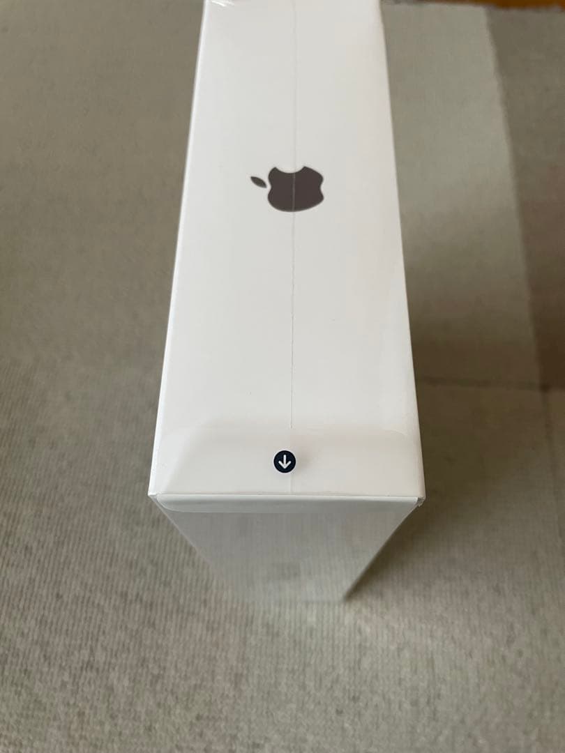 Apple iPad mini6 本体 WiFiモデル 欧米版