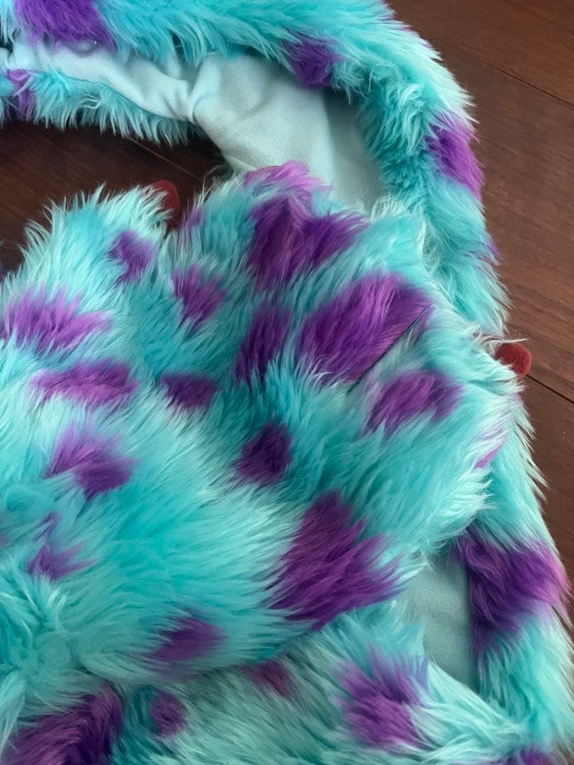 サリー　ファンキャップ