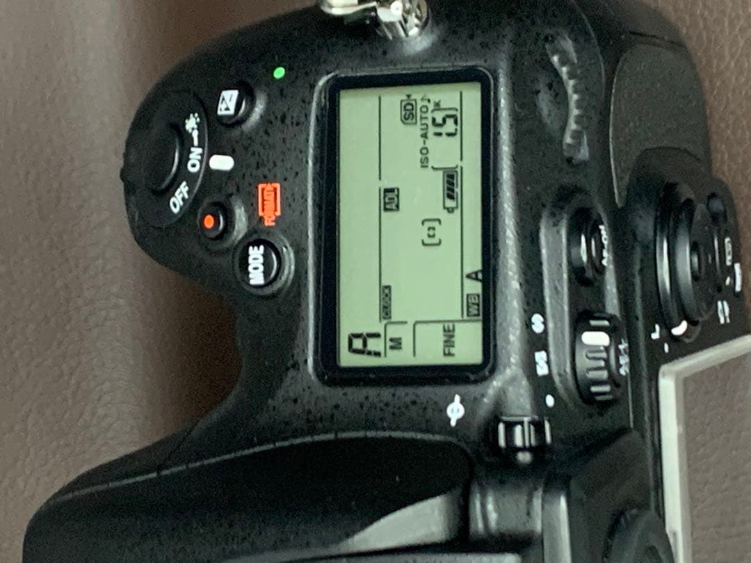 美品　ニコン Ｄ800 (撮影枚数 3735枚)