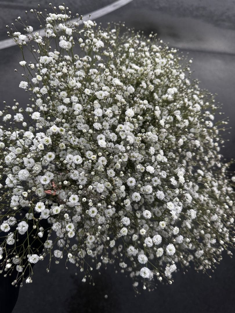 ディアスRAINBOW様 リクエスト 6点 まとめ商品