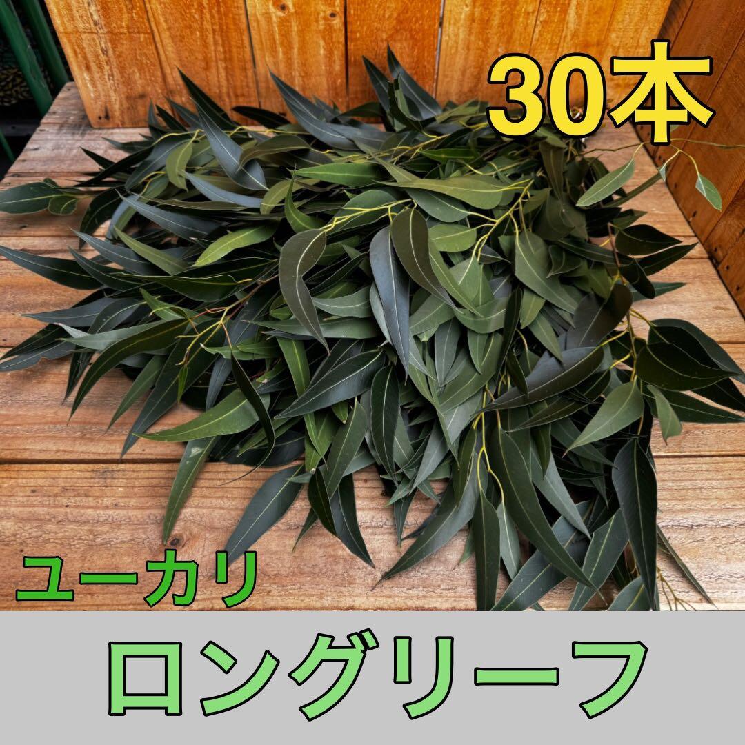 ディアスRAINBOW様 リクエスト 6点 まとめ商品