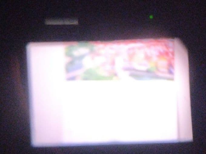 フィルムカメラ Nikon F4 + TC-16A + NIKKOR 50mm F1.4