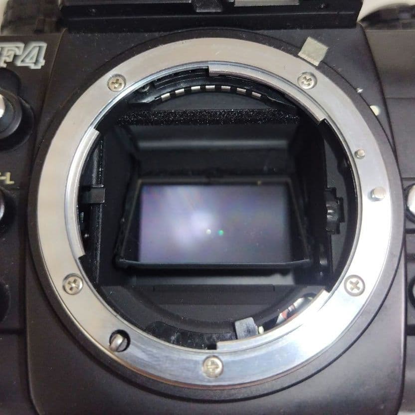 フィルムカメラ Nikon F4 + TC-16A + NIKKOR 50mm F1.4