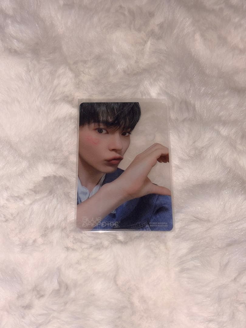 ゼベワン ハンビン トレカ 韓国 ポップアプ 入場者限定 ブルパラ