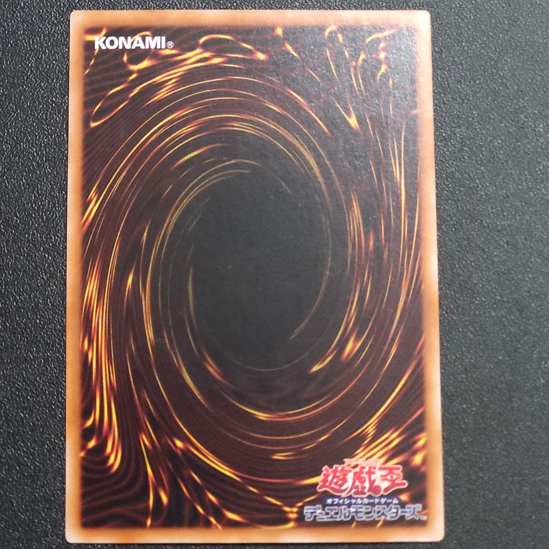 遊戯王　レリーフ　ブラックパラディン