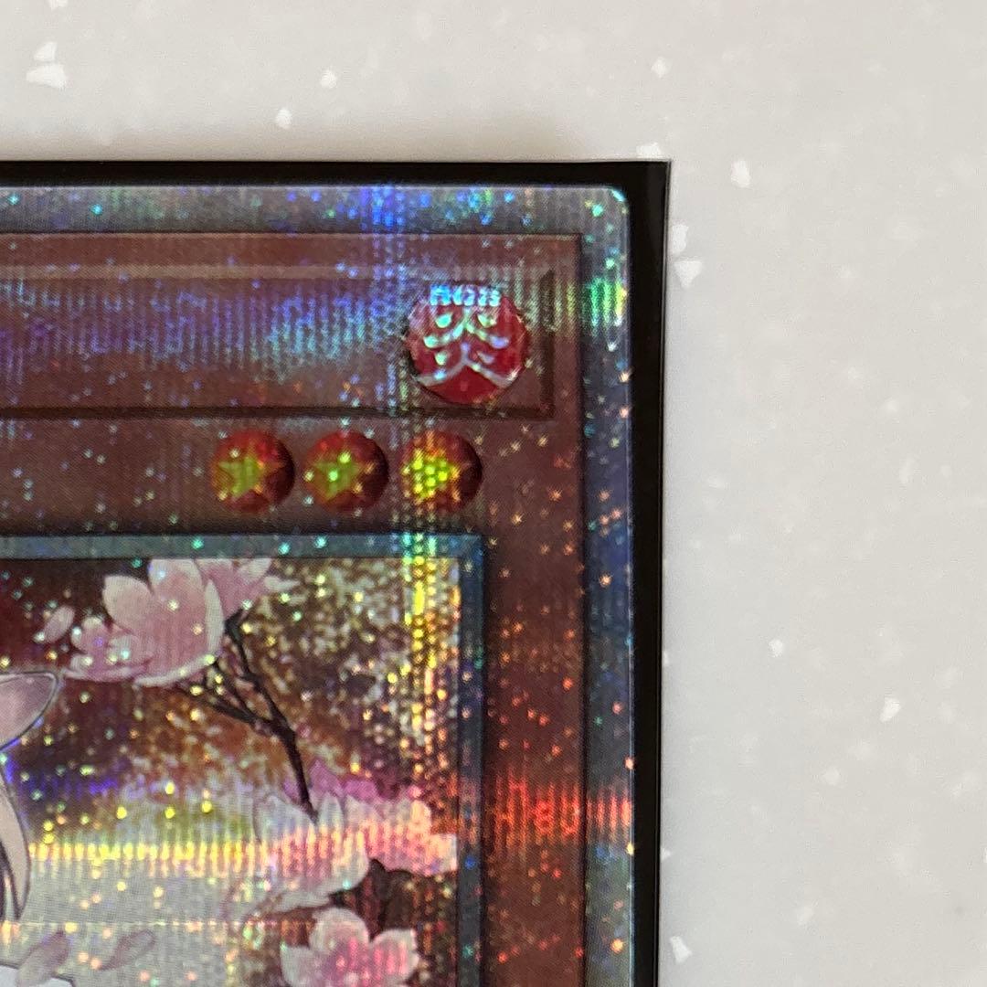 遊戯王　灰流うらら　25thシークレットレア　絵違い