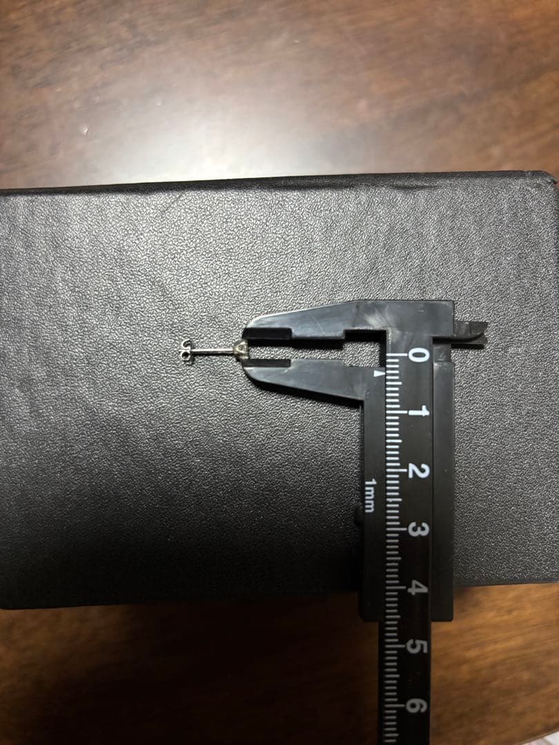 ⭐︎19pt900 ピアス