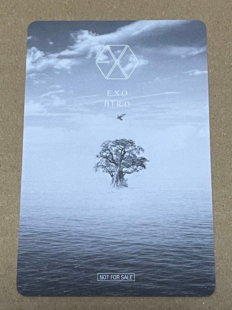 EXO チャニョル トレカ / BIRD