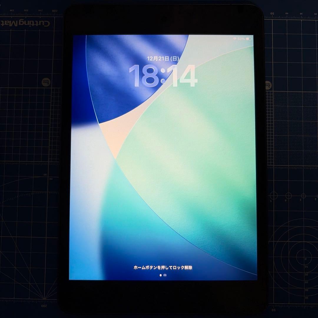 Apple iPad Mini5 ブラック セルラーモデル【ジャンク】