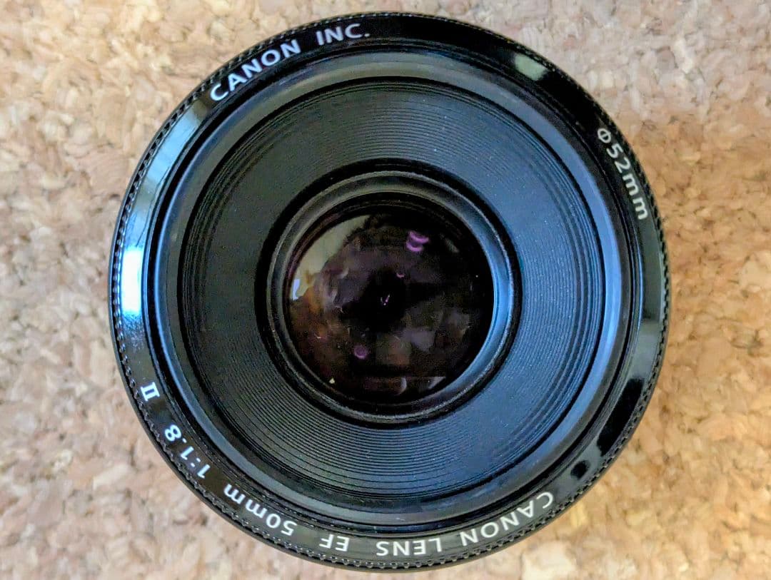 Canon EF50mm f/1.8 Ⅱ 単焦点レンズ