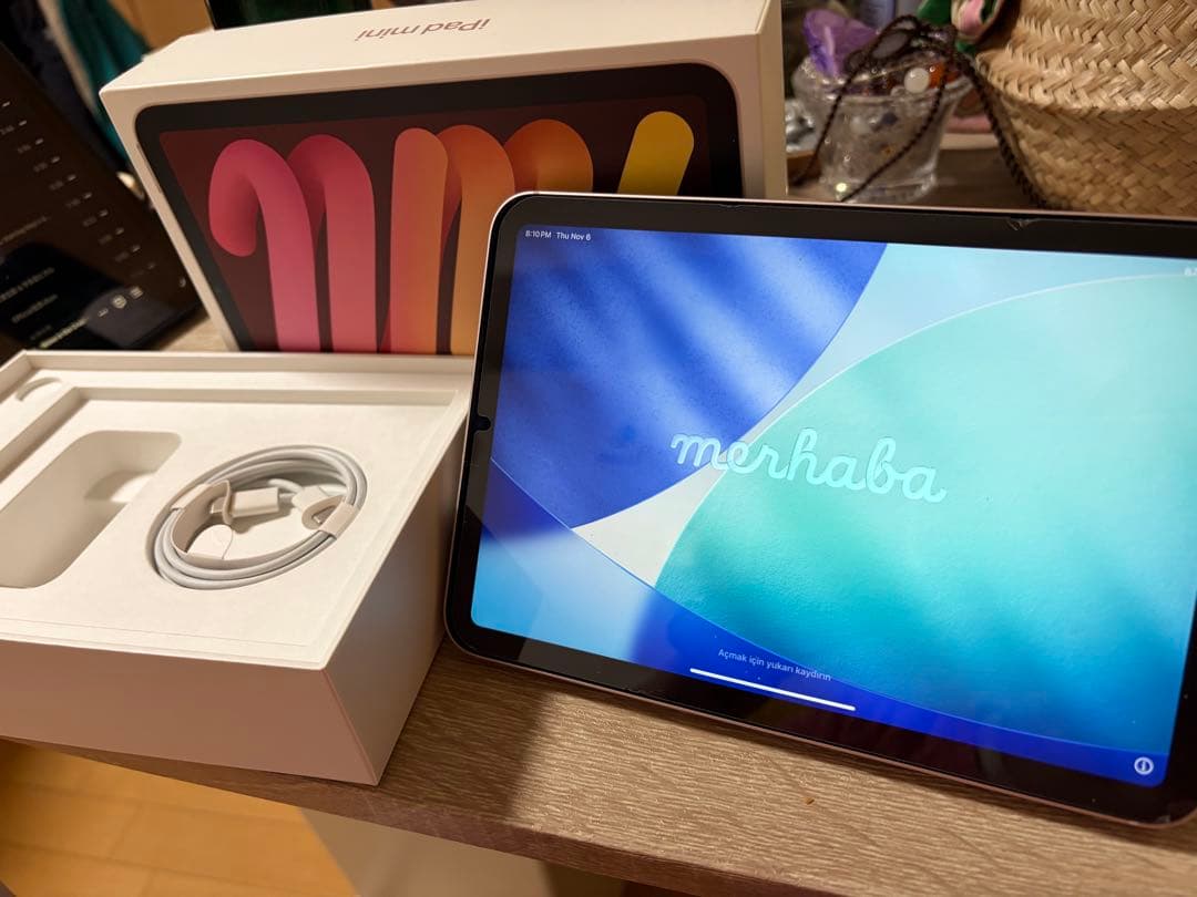 iPad mini Wi-Fi + Cellular 64GB ピンク