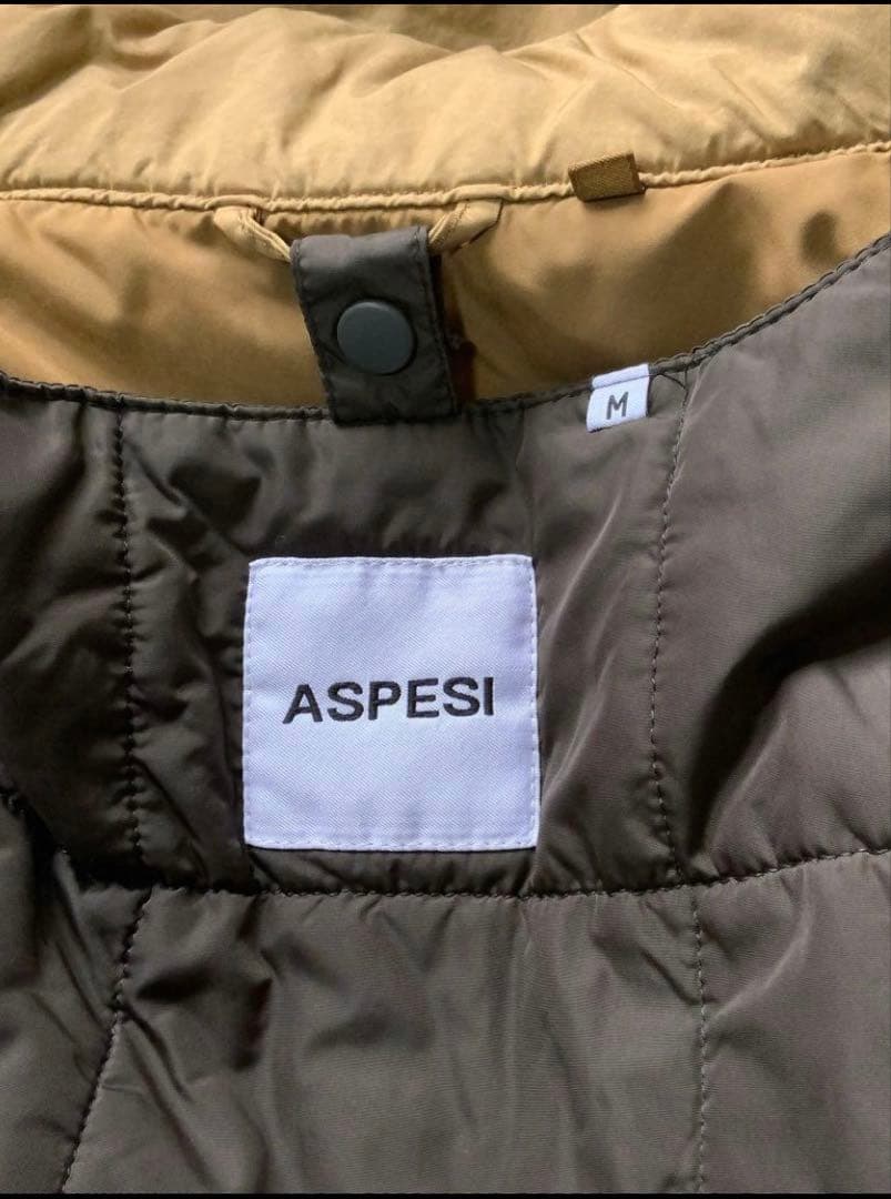 ASPESIアスペジM65ミニフィールドヴェントMINIFIELDVENTO M