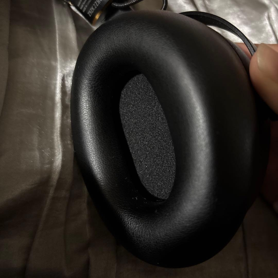 AVIOT WA-Z1PNK ピエール中野 コラボモデル ピッドホン