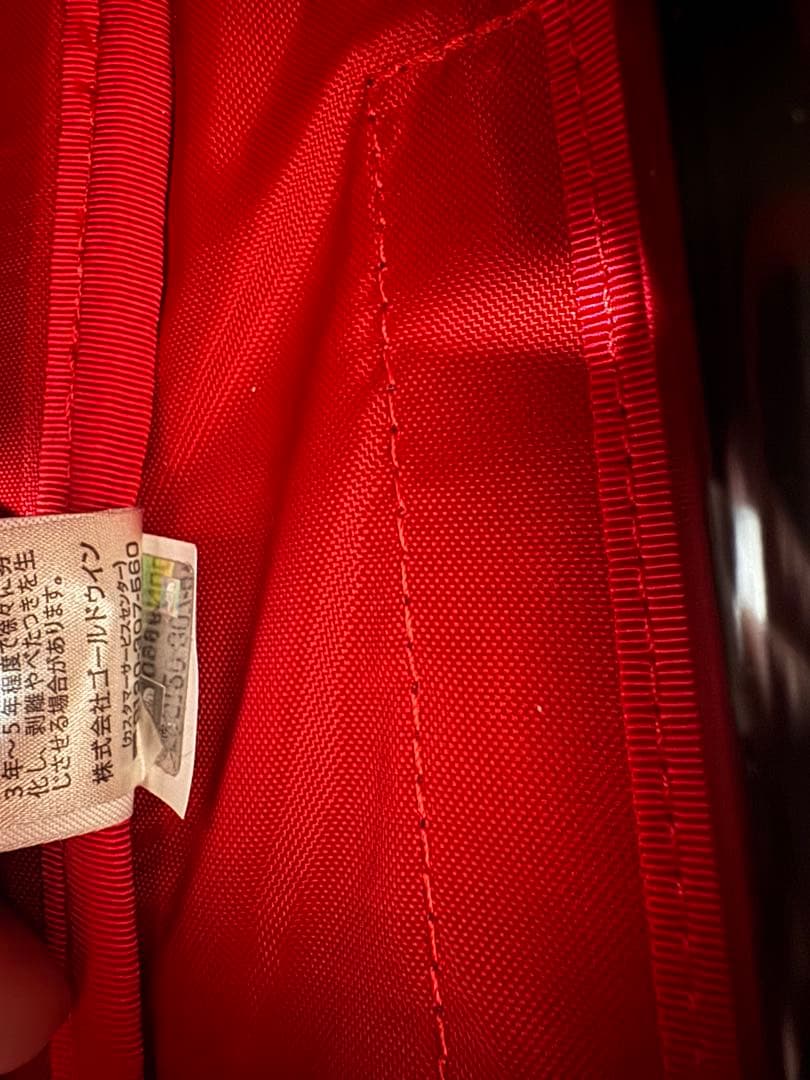 THE NORTH FACE ROLLING THUNDER キャリーケース