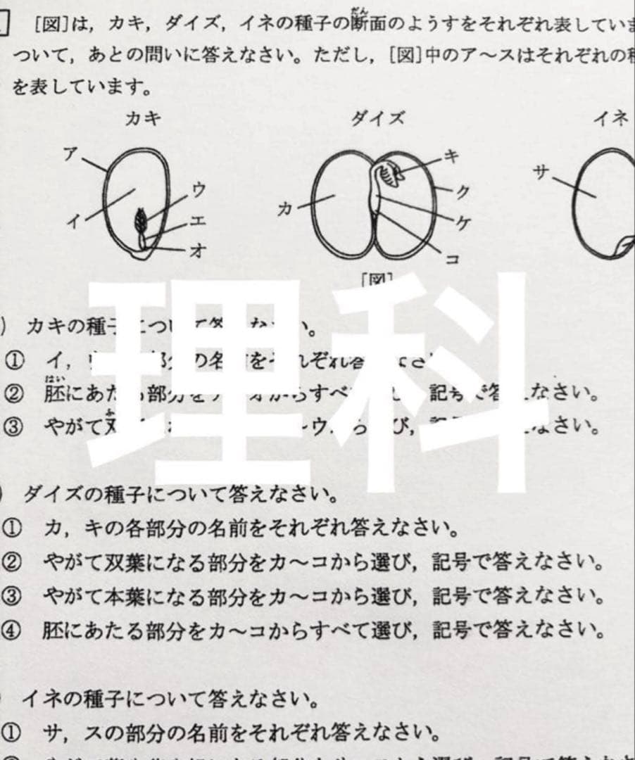 浜学園　小5 2024年度　復習テスト　Sクラス 3教科　実力、No.1〜21