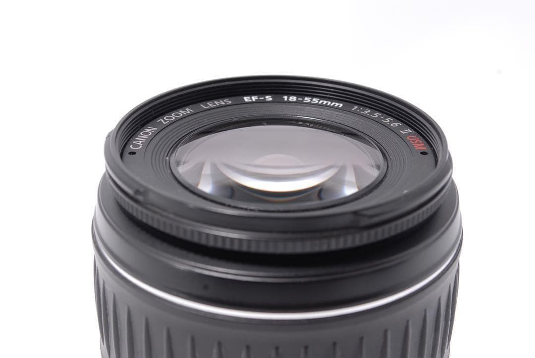 豪華おまけ付✨Canon EOS Kiss X4✨標準レンズ★安心のフルセット