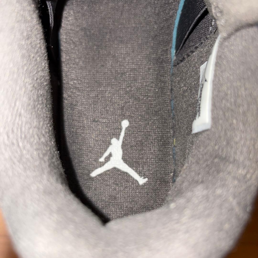 NIKE Air Jordan 4 cool glay クールグレー　AJ4