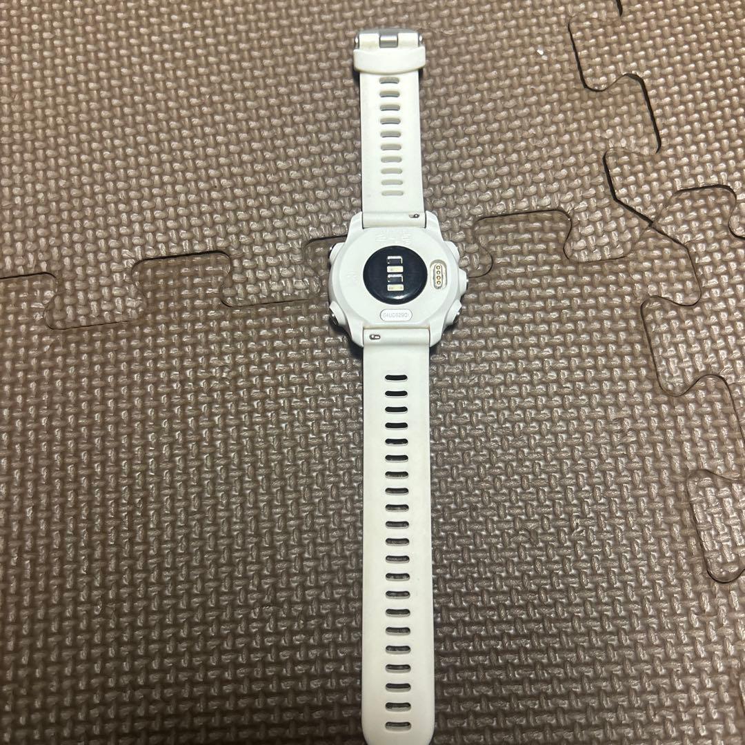 その他 Garmin245music