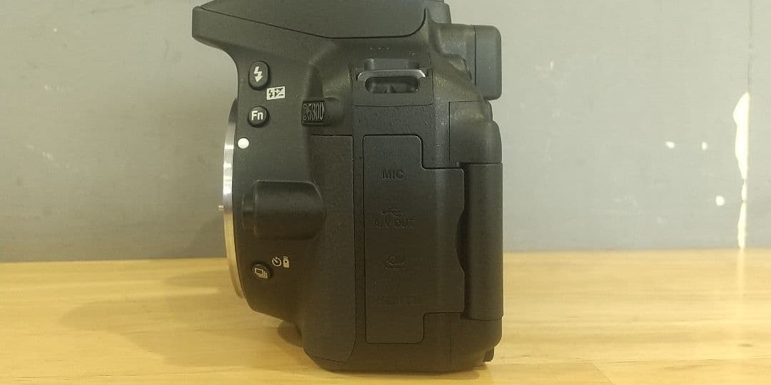 ニコン D5300 18-52 VRⅡKit & 望遠ズームレンズ 55-200