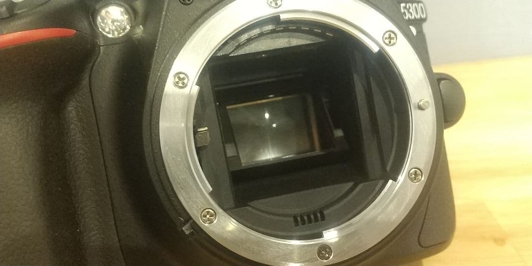 ニコン D5300 18-52 VRⅡKit & 望遠ズームレンズ 55-200