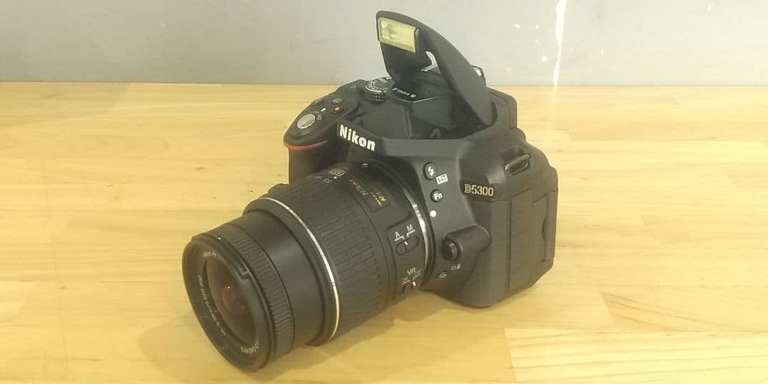 ニコン D5300 18-52 VRⅡKit & 望遠ズームレンズ 55-200