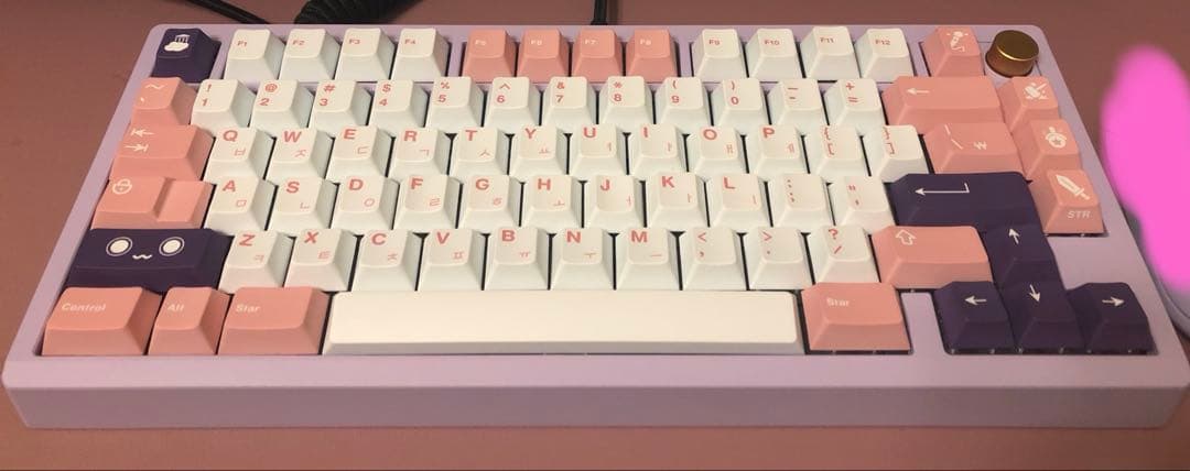 キーボード MELETRIX ZOOM75 lilac EPBT SUPERSTAR