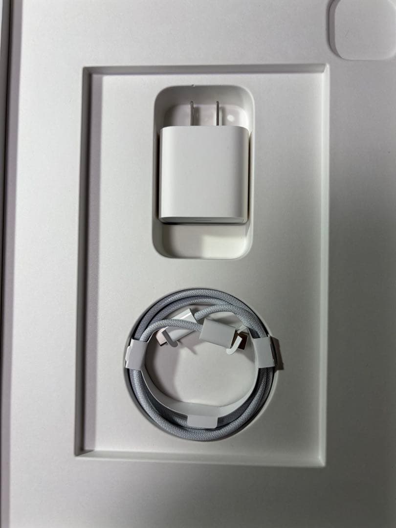 iPad Pro M2(第4世代)11インチ　セルラー　apple pencil