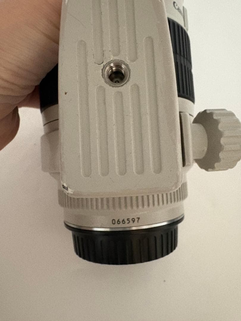 E8つばさ　EF70-200mm F2.8 L USM