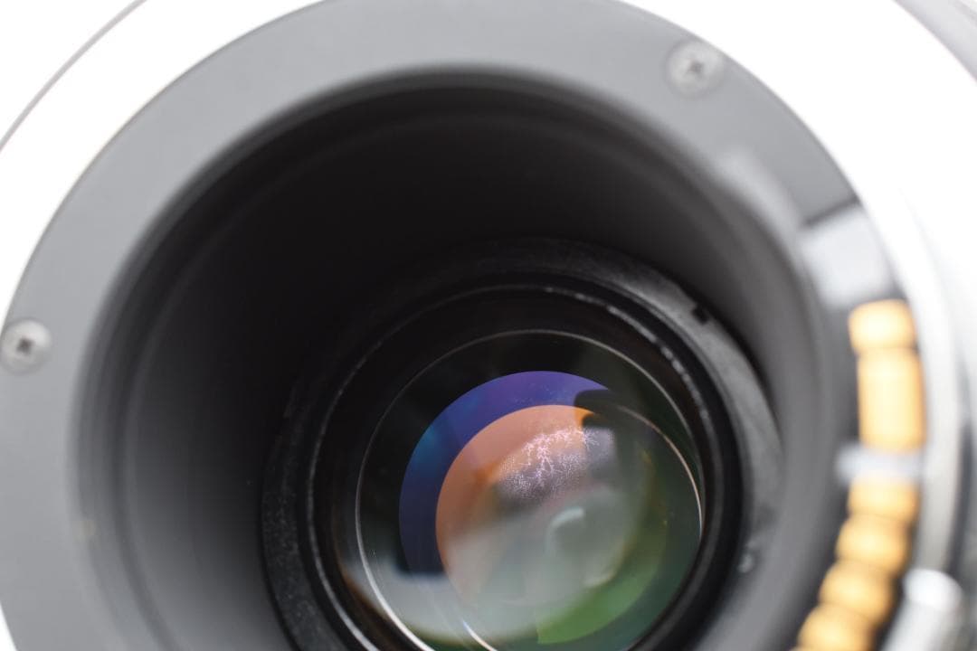 キヤノン用超望遠⭐️SIGMA 50-500mm DG OS HSM ⭐️大迫力