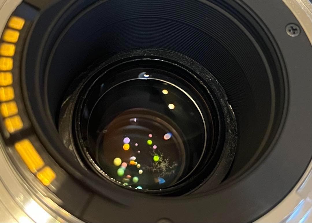 キヤノン用超望遠⭐️SIGMA 50-500mm DG OS HSM ⭐️大迫力