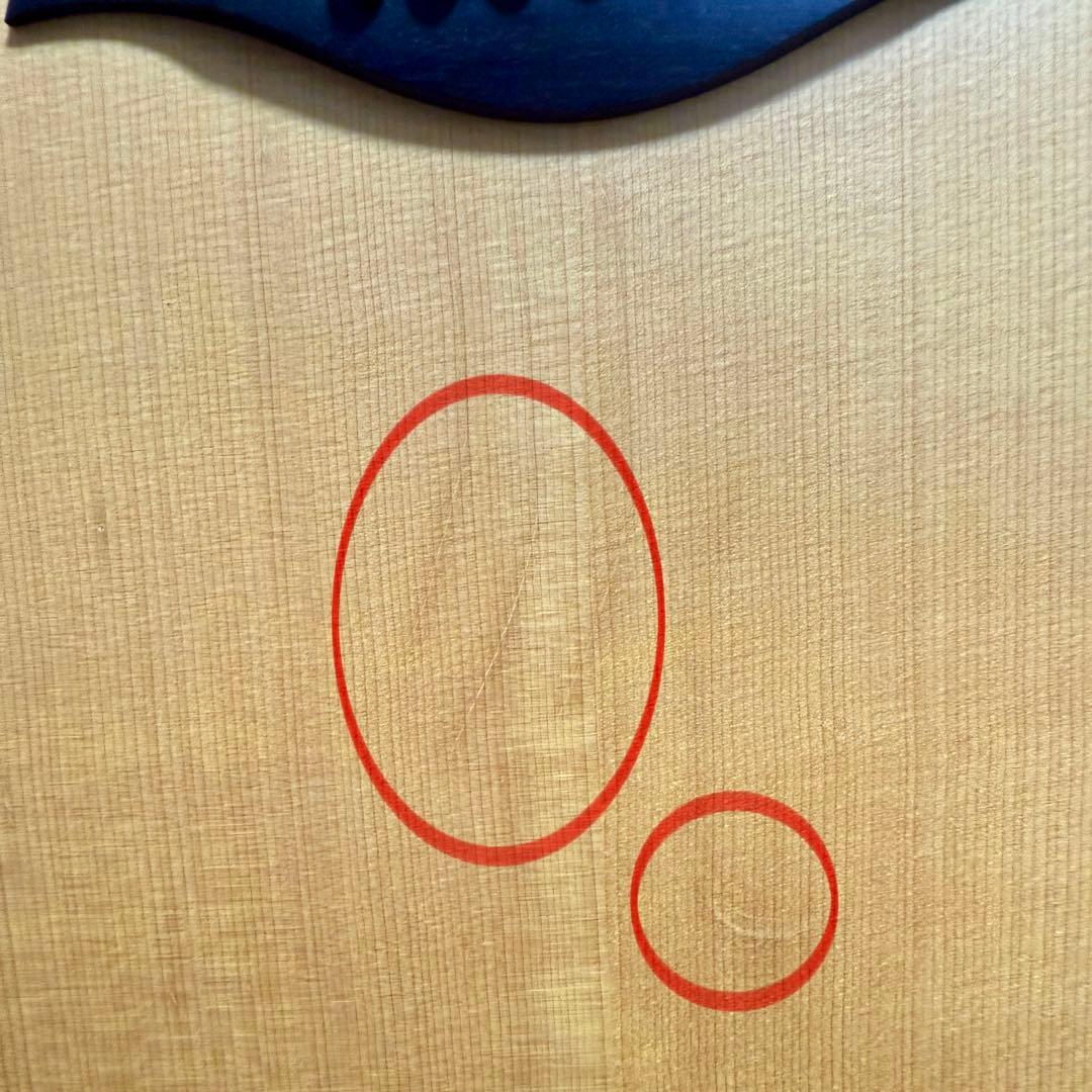 【価格以上の音】 Taylor 210e エレアコ ケース付