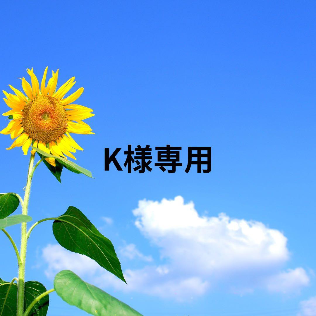 MINOLTA 360 si【完動品】一眼レフカメラ　フィルムカメラ