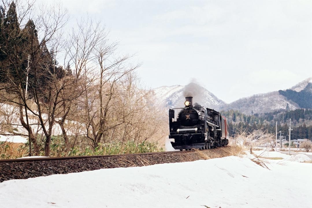 【実写確認整備品】ヴィトマチックⅡa／カラースコパー50mmf2.8付