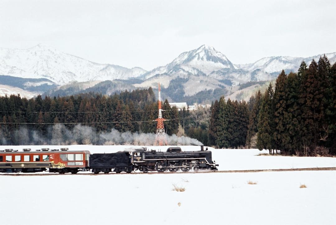 【実写確認整備品】ヴィトマチックⅡa／カラースコパー50mmf2.8付