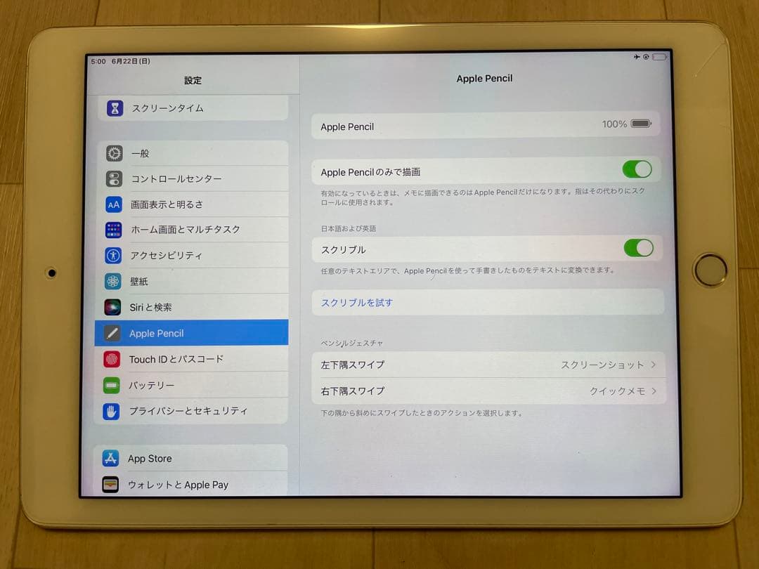 ジャンク　iPad Pro 9.7 WiFi 128GB ケースとpencil付