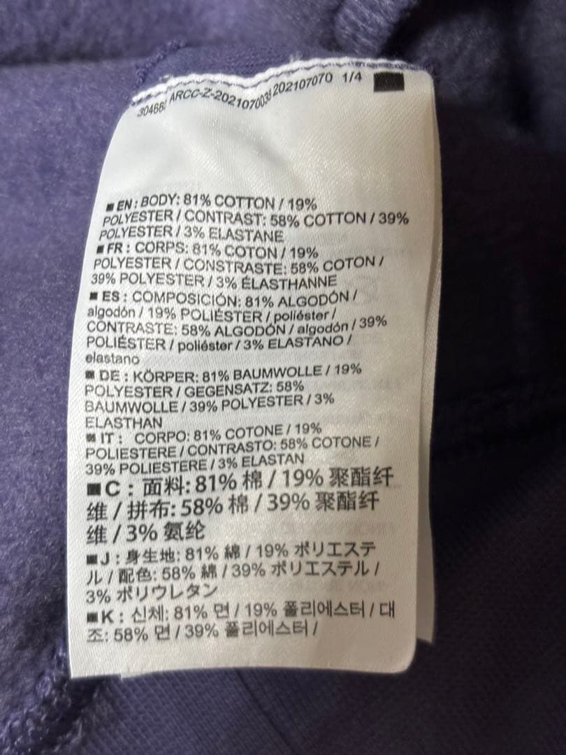 ARC'TERYX Emblem Fleece Hoodyアークテリクスパーカー