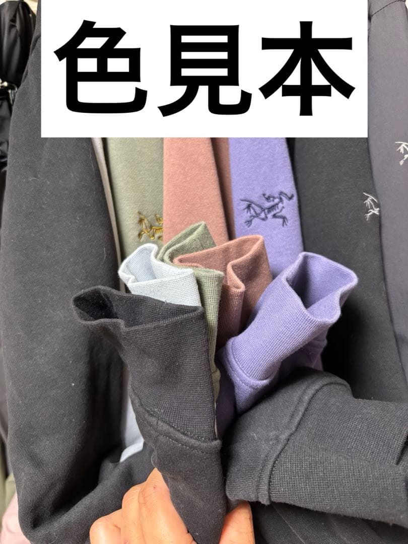 ARC'TERYX Emblem Fleece Hoodyアークテリクスパーカー